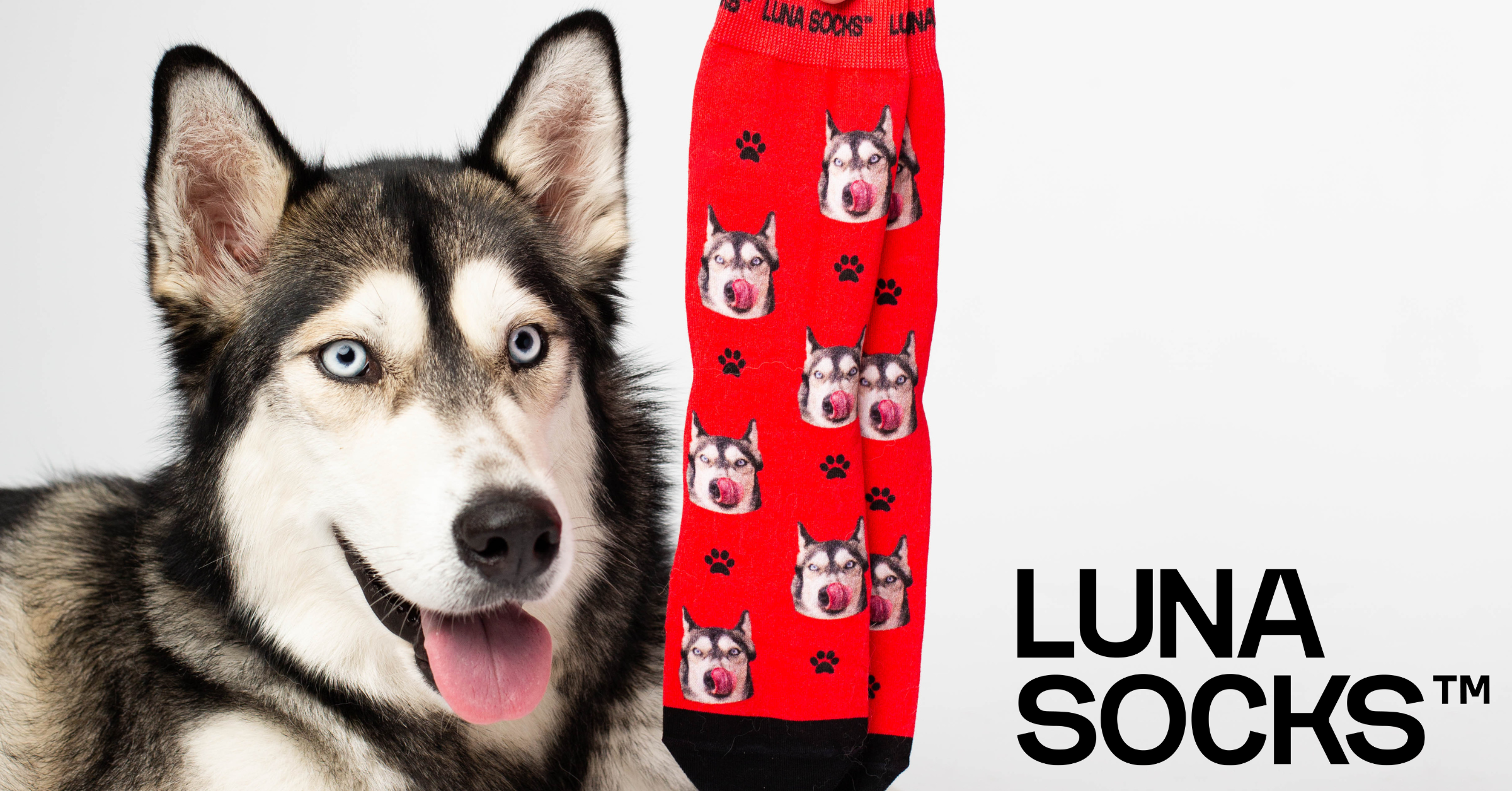 Luna Socks: Your dog on socks